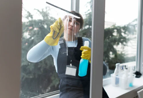 Nettoyage de vitres intérieures et extérieures à Saint-Parize-en-Viry